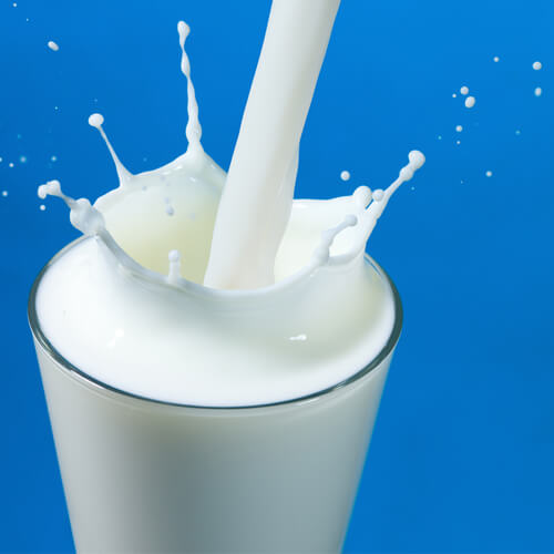 Интересные факты о молоке. 5 фактов которые вы могли не знать