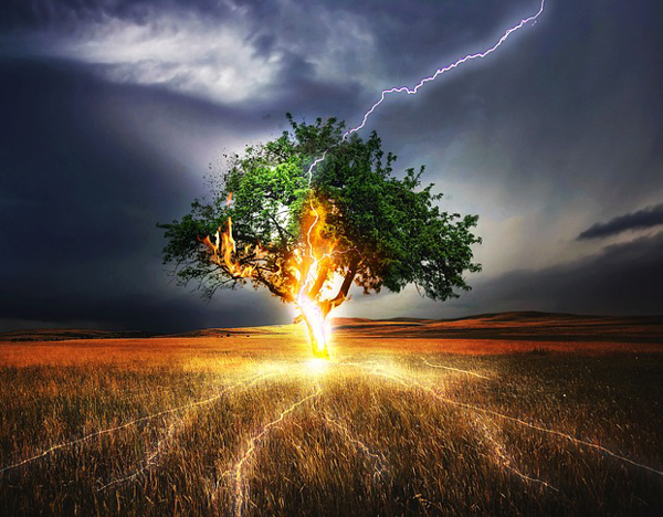 Гроза, молния, гром, молния ударяет в дерево